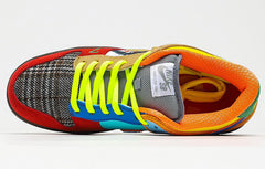 NIKE SB What The Dunk