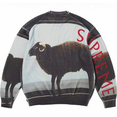 Supreme x Damien Hirst Sweater