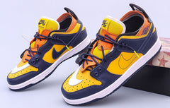 AIR JORDAN X NIKE SB DUNK LOW